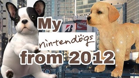 Catching up on my Nintendogs from 2012