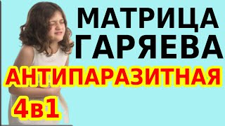 Антипаразитная Матрица Гаряева Медитация 4В1 С Формулами Очищения Организма И Программой Гаряева №10