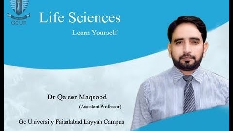 How to make assignment on Mobile/Assignment on WPS using Mobile