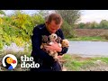 Guy Sees Puppies Dumped On Busy Highway | The Dodo