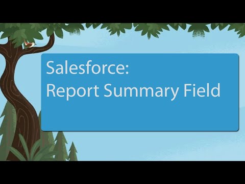 Video: Kaip apibendrinti ataskaitą „Salesforce“?