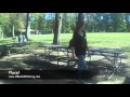 10-Month Old GSD, 10-Month Old GSD,