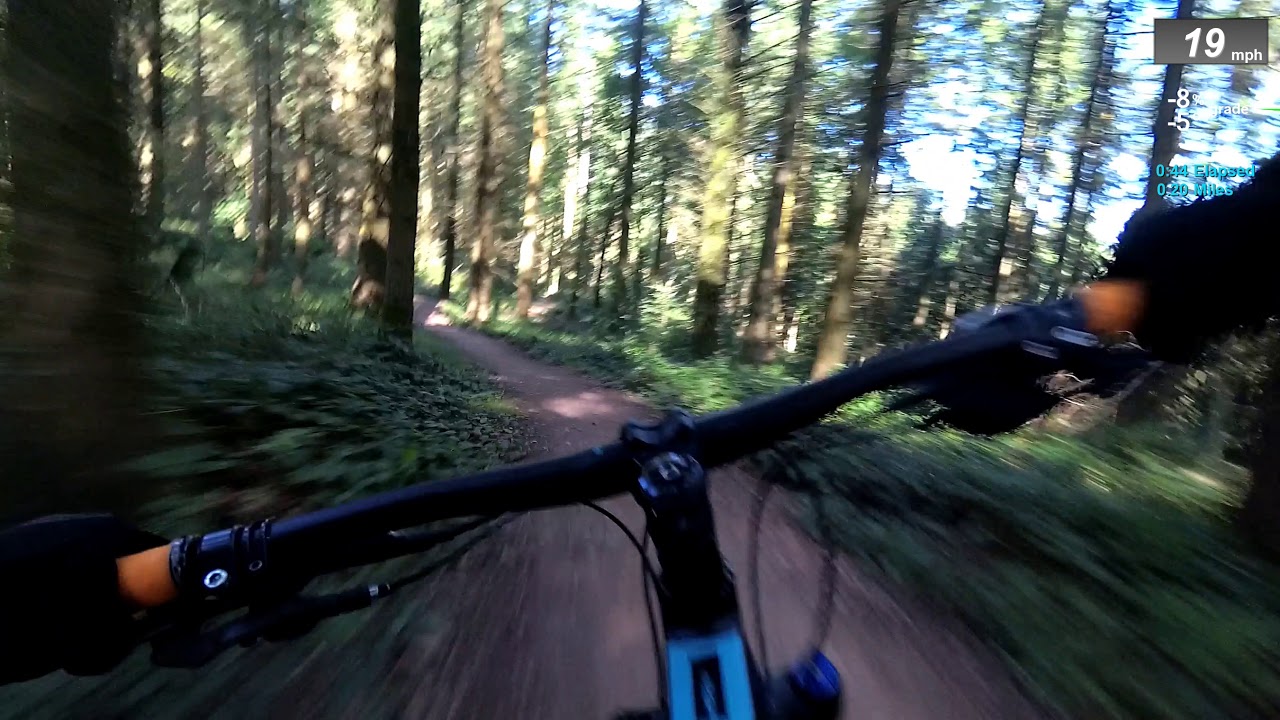 Countdown trail Forest of Dean PR run