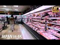 Supermarket of Tokyo. Everyday Scenery | Walk Japan 2021［4K］