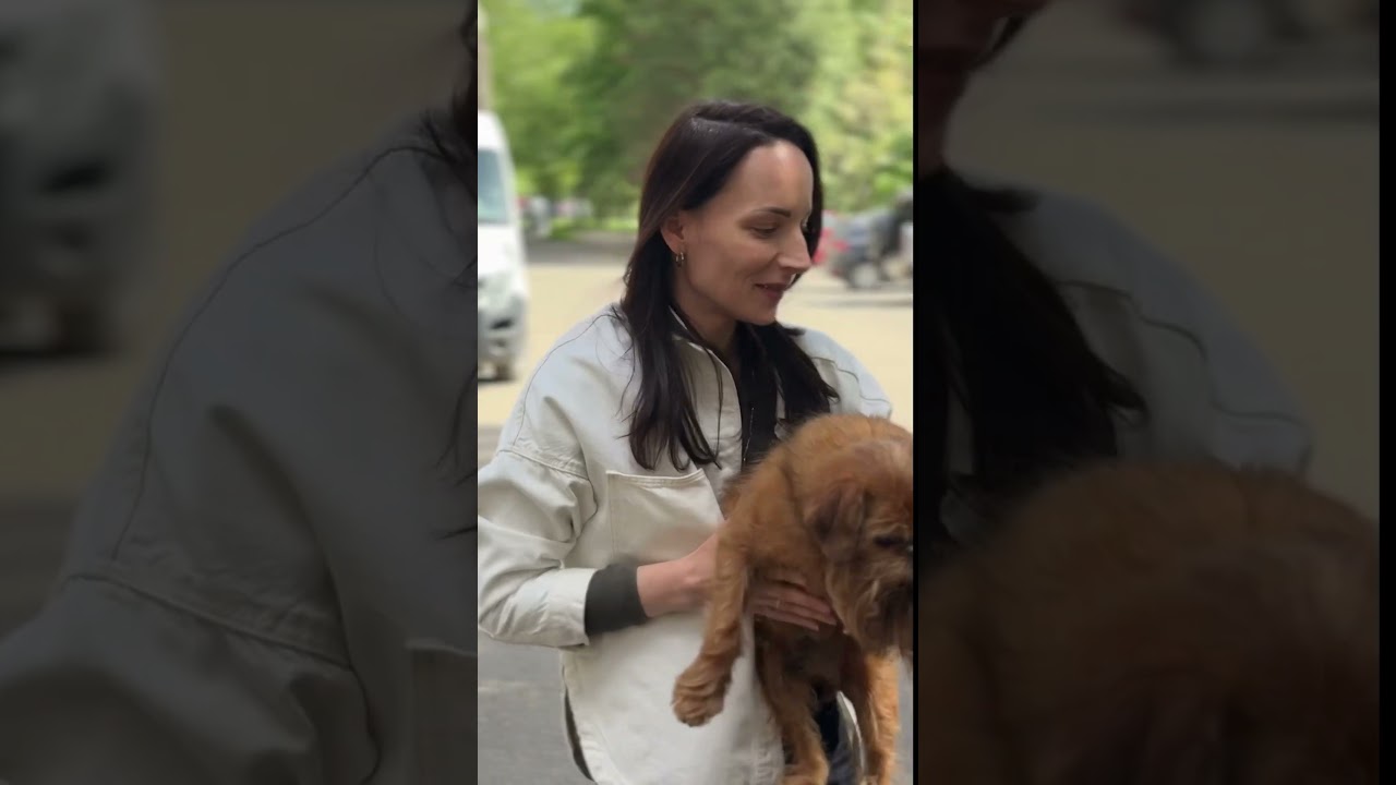 Накидка на переднє сидіння в авто для собак Black Накидка на переднє сидіння в авто для собак Black