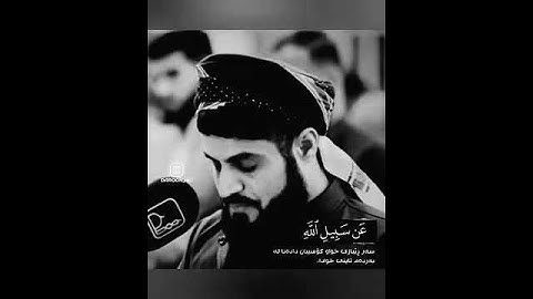 تلاوه خاشعه "القارئ رعد الكردي حالات واتس اب القرأن الكريم
