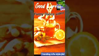 Download Lagu Funny Dance video 😀😀ll#shortvideo #shortsfeed #funny MP3