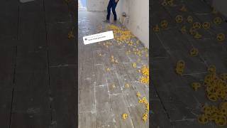 Celebrity Cleaning these grout lines was brutal but worth the fun with the boys 🤙 Wealth