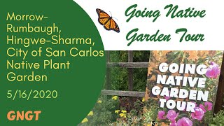 GNGT: Morrow-Rumbaugh Garden; Hingwe-Sharma Garden; City of San Carlos Native Plant Garden 5/16/2020