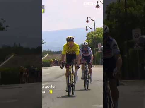 Video: Se: En utbryterseier og nesten et GC-opprør på etappe 15 av Tour de France (videohøydepunkter)