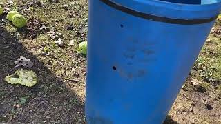 Worx leaf shredder. My personal setup . @ That Hobby