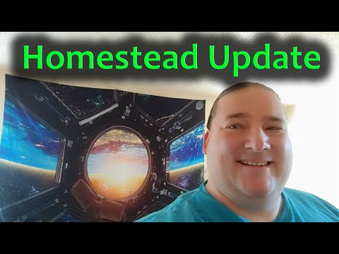 Homestead Update 2020 1111 T3DP