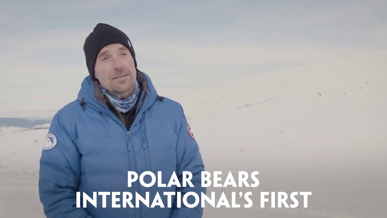 Paddy Power - England Til I Dye - Pitch Marketing Group