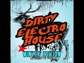 DIRTY ELECTRO HOUSE VOL.16 - MINIMIX (Mixed by DJ EMJO)(Winter Edition)