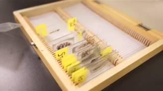 Sustainable Archeology Update 2017