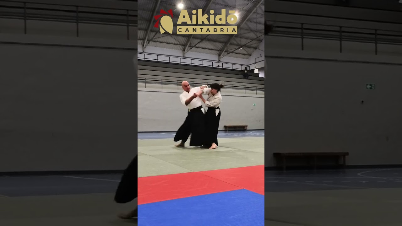 Extracto del examen de Nidan de Fran #takemusu #aikido #iwama #武産合氣 #martialarts #aikidoexam