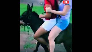 Donkey Double Ridingركوب الحمار المزدوج