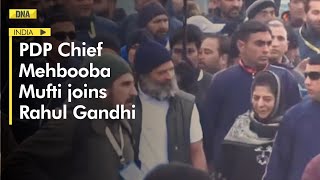 Bharat Jodo Yatra: PDP Chief Mehbooba Mufti joins Rahul Gandhi in Pulwama