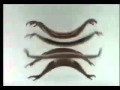 The Escape Club - Wild Wild West - AOL Video