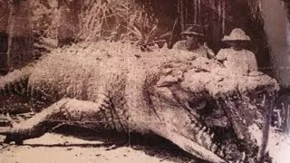 Top Biggest Crocodile Ever Caught