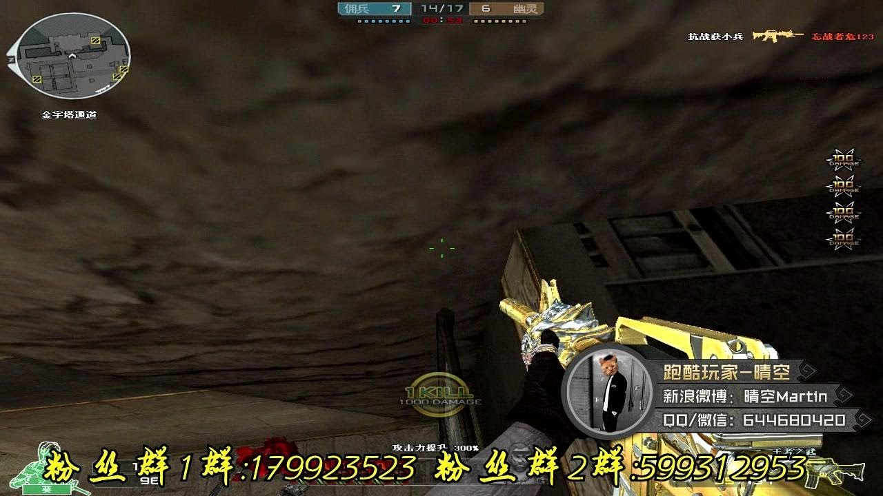 CF晴空：王者之武配上表情葵！来一个表情刀！