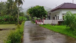 Super Heavy Rain | Relaxing walk in the pouring rain in my beautiful village |cure for insomnia