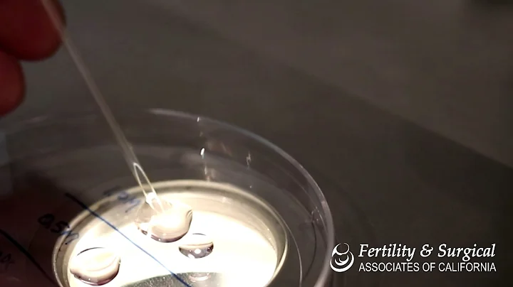 Embryo and Oocyte Thawing Protocol | Fertility and Surgical Associates of California - DayDayNews