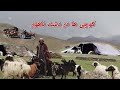 کوچی ها و وضعیت مردم ناهور غزنی