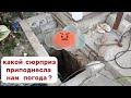 Начало лета - жара . Июль - заливной от дождей . Август - снова жара. А что в итоге ?