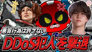 悪質Ddos攻撃を受けながらも犯人を撃退するCheekyたちApex