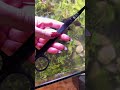 Do you agree with these aquarium products #aquarium #fishtok #fish #aquascape #bettafish