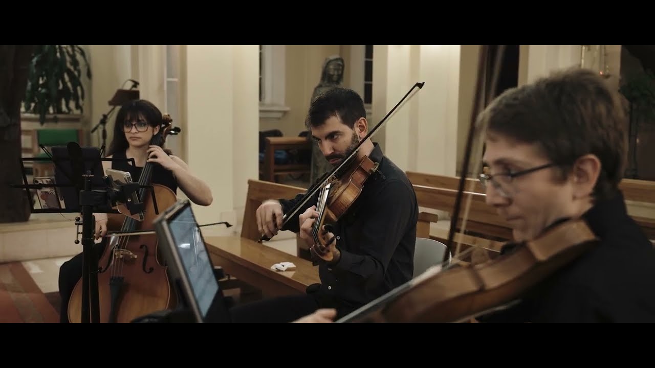 Wood and Waves String Trio tocando en un casamiento