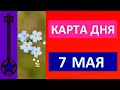 Карта дня 7 мая 2021 Таро прогноз.