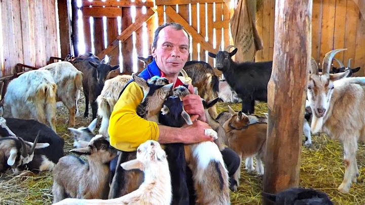 Danima bio bez struje sam u selu sa kozama, okovan snijegom