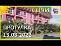 СОЛНЕЧНЫЙ ДЕНЬ В АДЛЕРЕ | 13.03.2022 | Субтропический рай в отдельно взятом городе