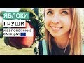 НА ВЕЛОСИПЕДЕ: Яблоки, груши и санкции против России / Мой канал никто не смотрит