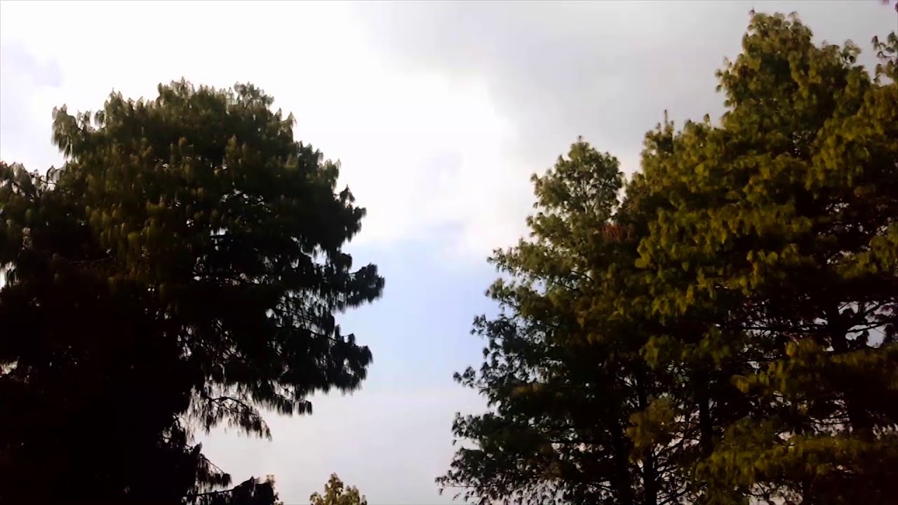 Full Body Detox And Cleanse Aura While You Sleep Good Night Sleep