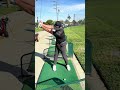 Stop hitting the ball fat with this simple golf drill. #golfcoach #golftechnique #golftips ￼
