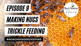 Overwintered Nucs - Ep 9 - Trickle Feeding