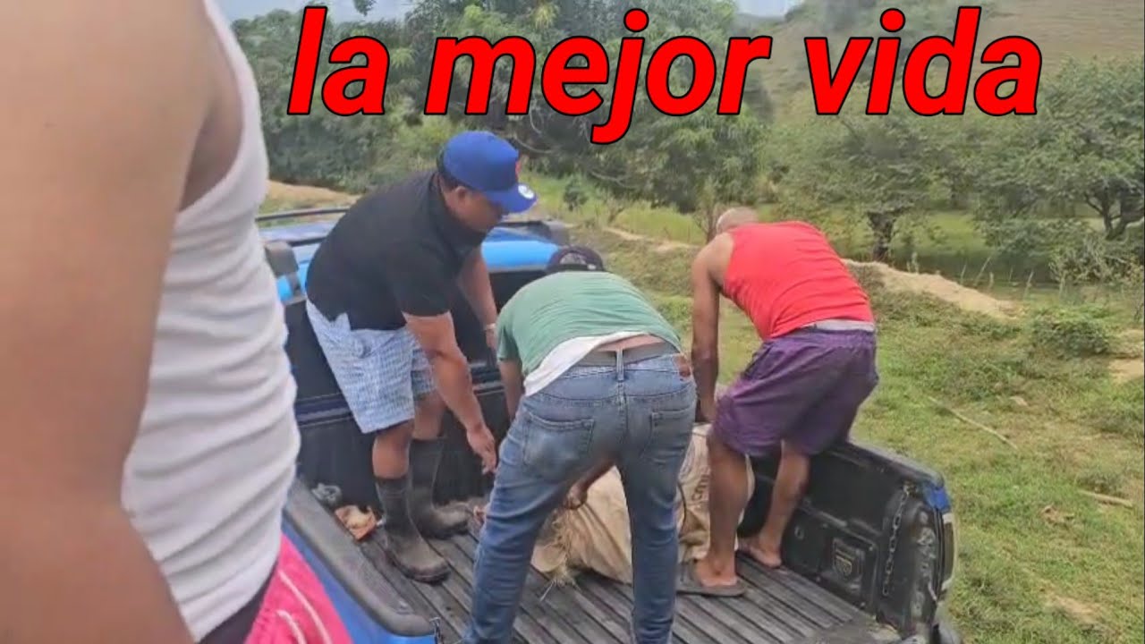 El campo lo tiene todos baitoa república Dominicana 