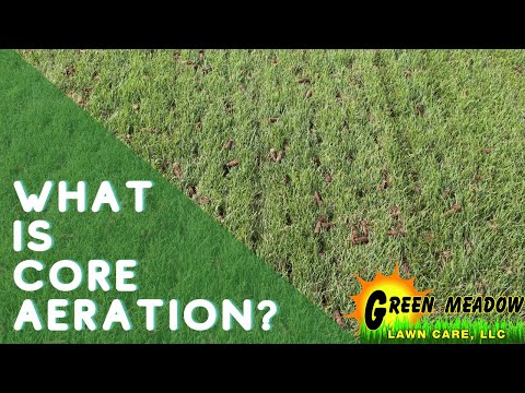 What is a Core Aeration Lawn Service?