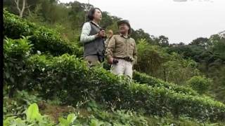20140103《草根菩提》368出去走走--減碳 輕旅行