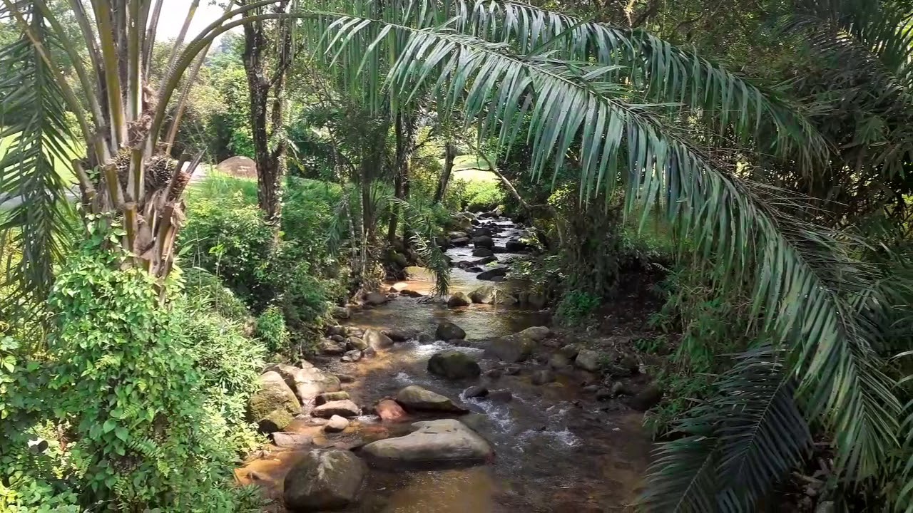River at Hole 7, Valley Nine, Meru Valley Golf & Country ...