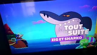 Zig Shako Tout Suite Sur Gulli