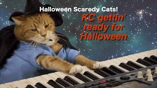 Keyboard Cat Scary 2022!