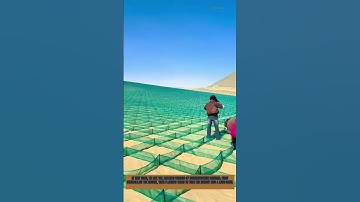 Control Desert First, Then Plant Trees: Turning Desert into Oasis | Desertification Control