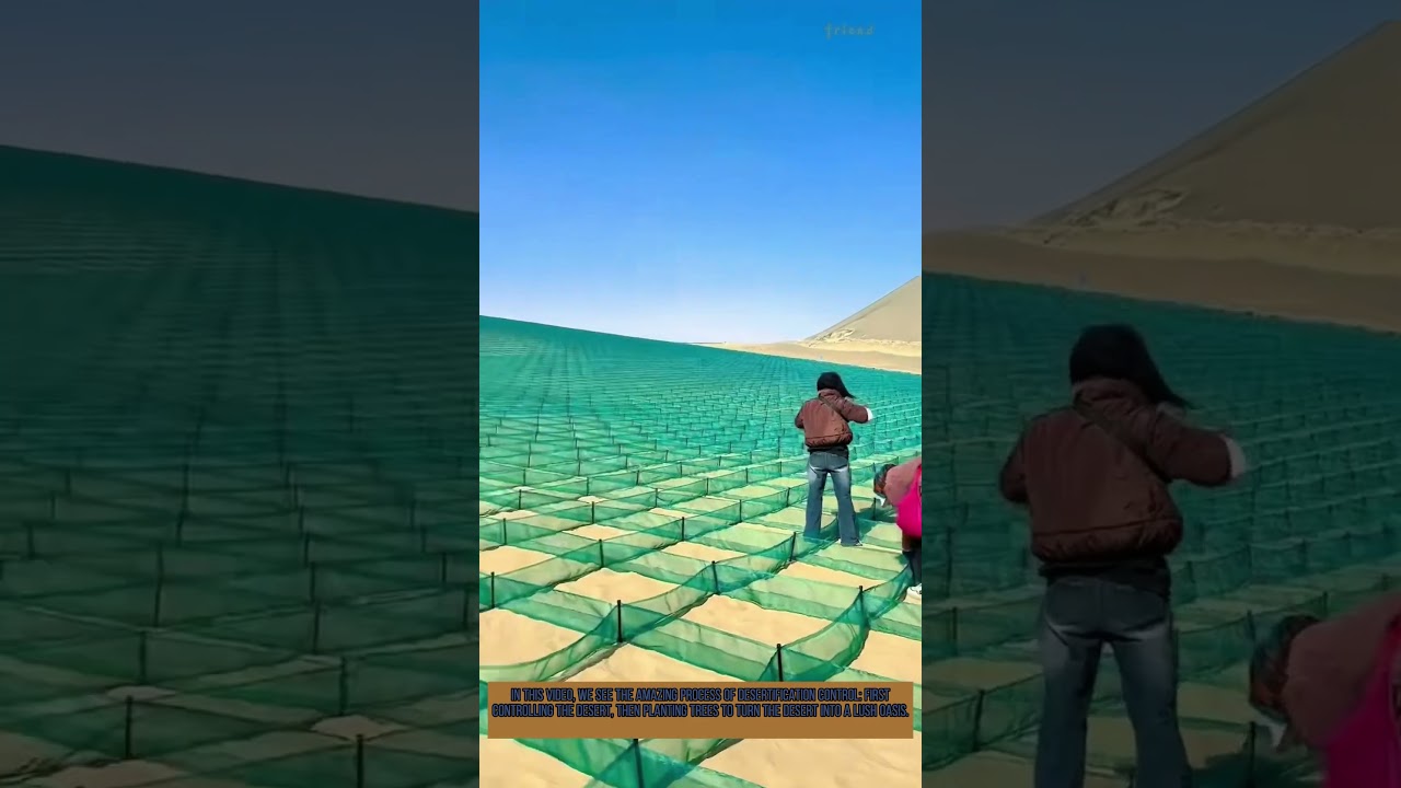 Control Desert First, Then Plant Trees: Turning Desert into Oasis | Desertification Control