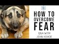 John Kehoe: How Do I Overcome Fear?