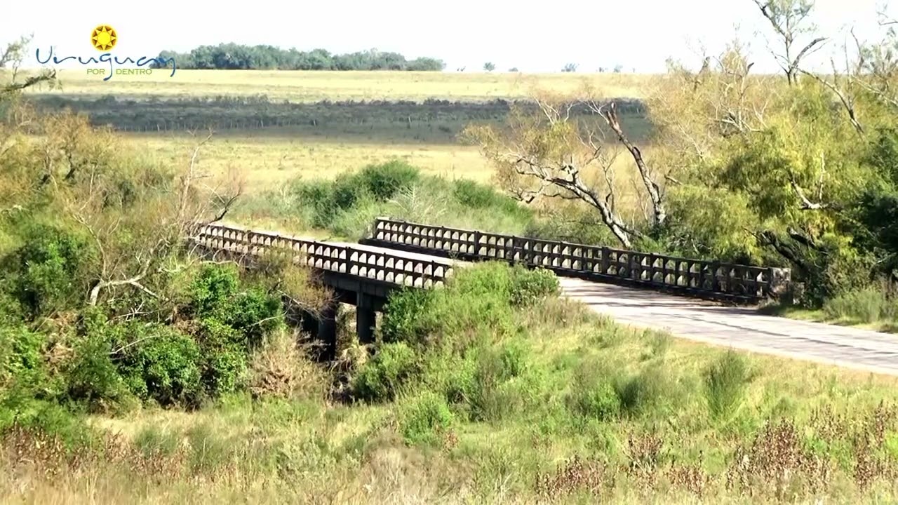 Uruguay por dentro 22 de Junio del 2024, Relatos de un Caminante