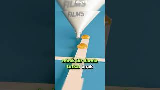 Sineklerle Mini Uçaklar Yaptılar Vızıldayan Pilotlar Havada